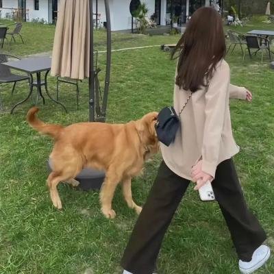 上海异人娼馆
